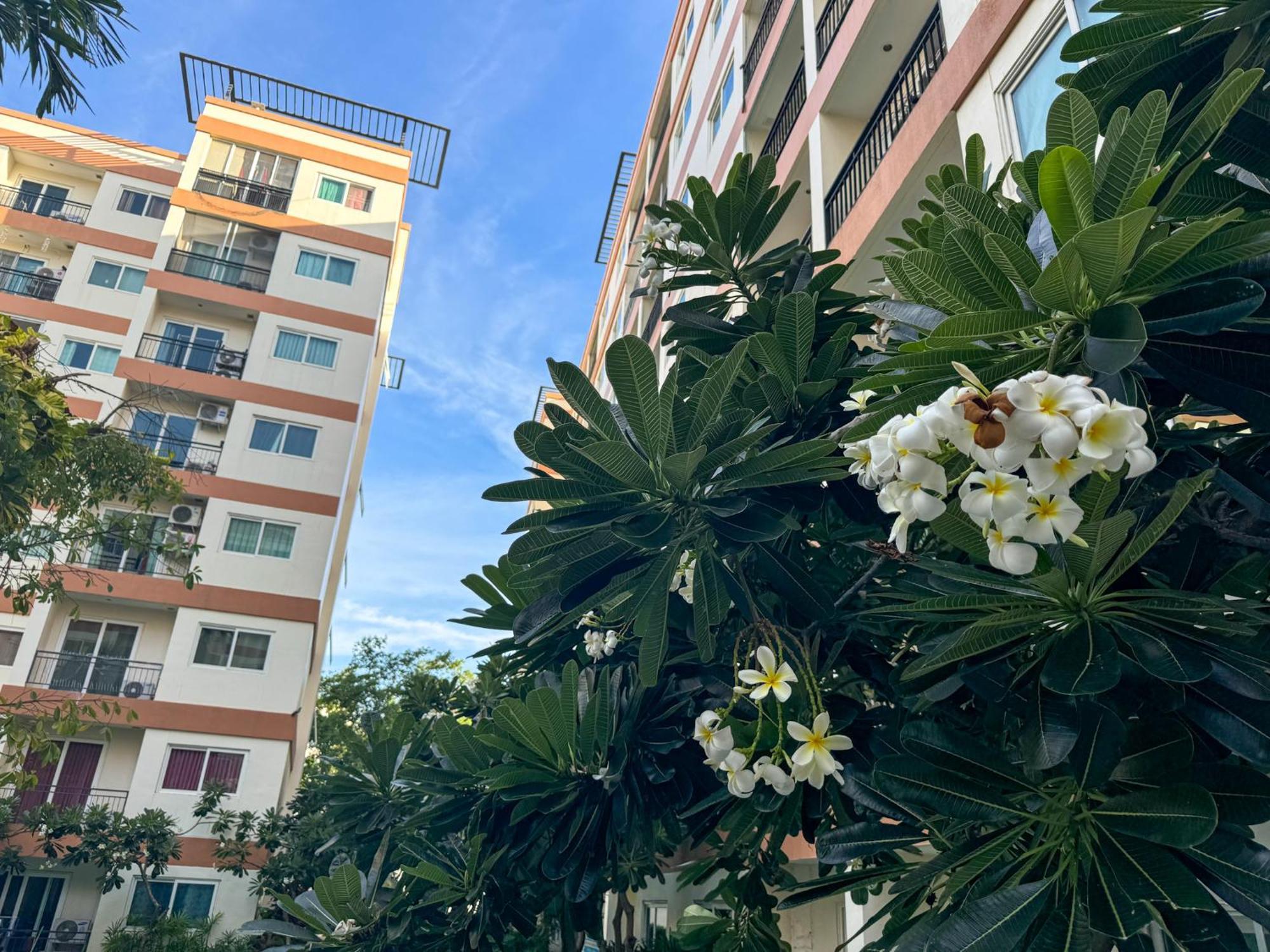 卧室直达泳池 全网最低价 到中天海滩5分钟 Jomtien Beach Exterior photo