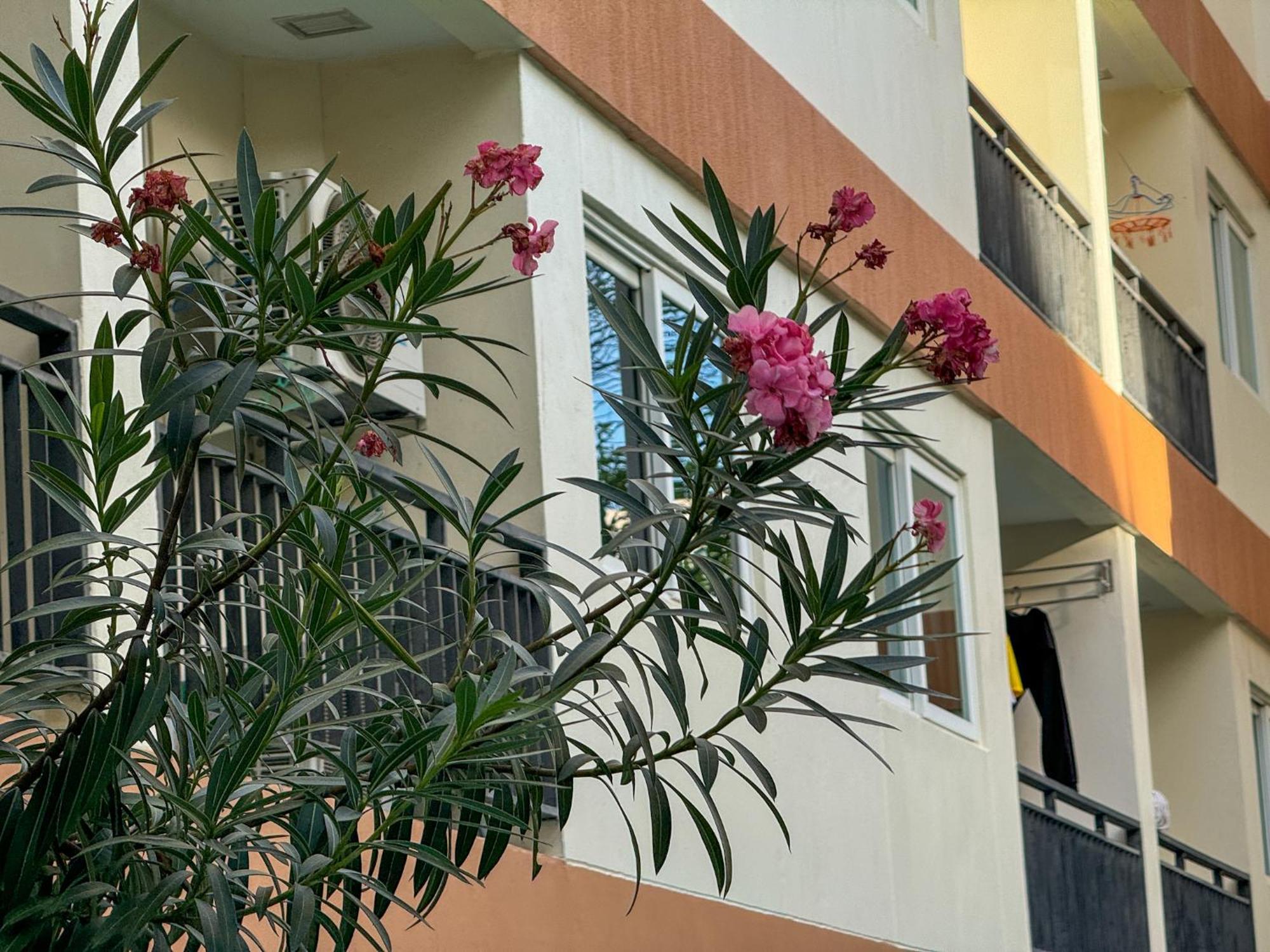 卧室直达泳池 全网最低价 到中天海滩5分钟 Jomtien Beach Exterior photo